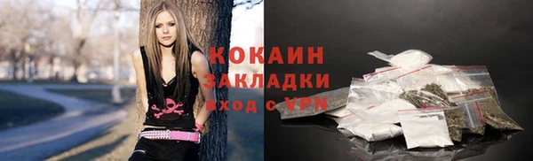 гашик Новодвинск