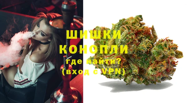 MDMA Новозыбков