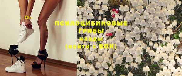 кокс Новокубанск