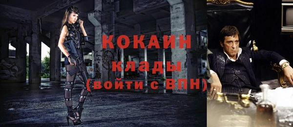 гашик Новодвинск