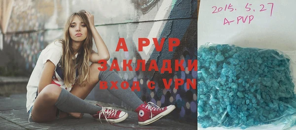 гашик Новодвинск