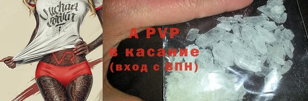 гашик Новодвинск