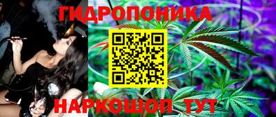 ECSTASY Будённовск