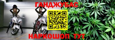 прущие грибы Бийск