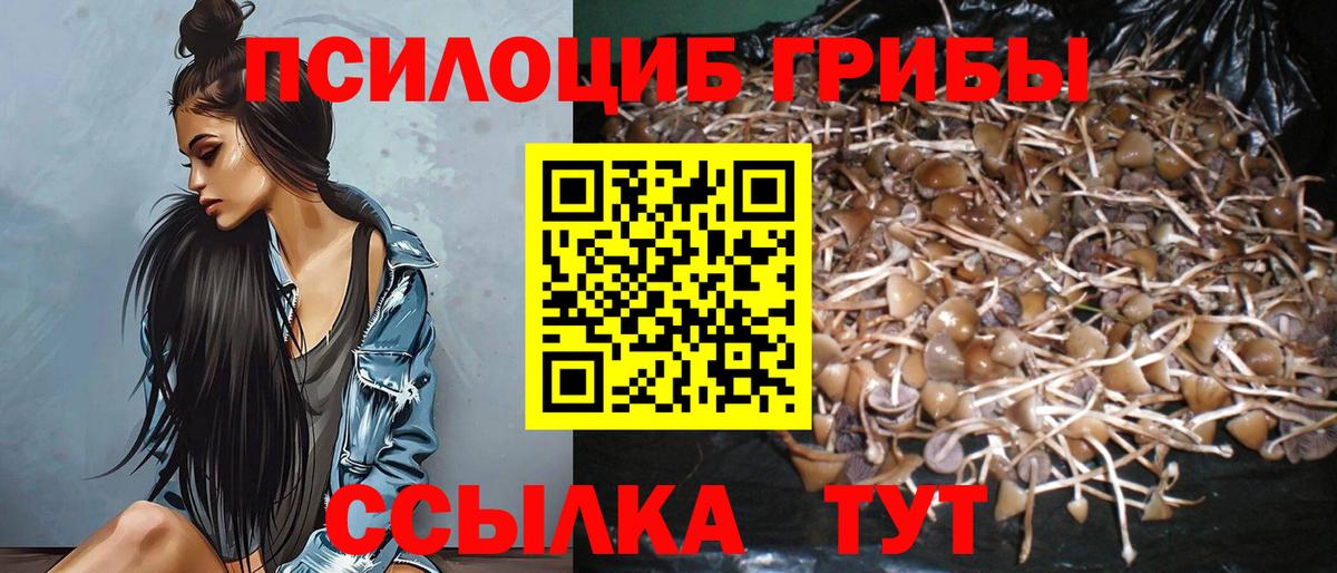 Псилоцибиновые грибы ЛСД Волжск
