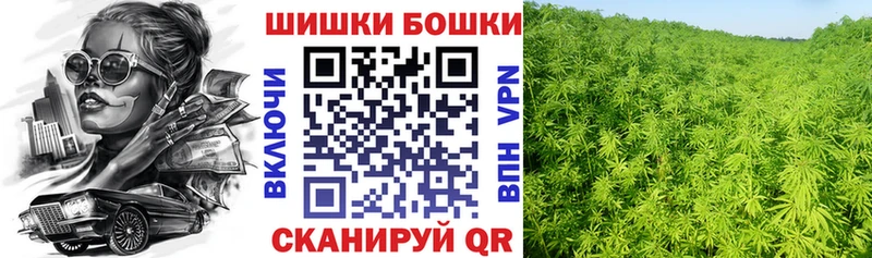 мориарти какой сайт  Волжск  Шишки марихуана Amnesia 