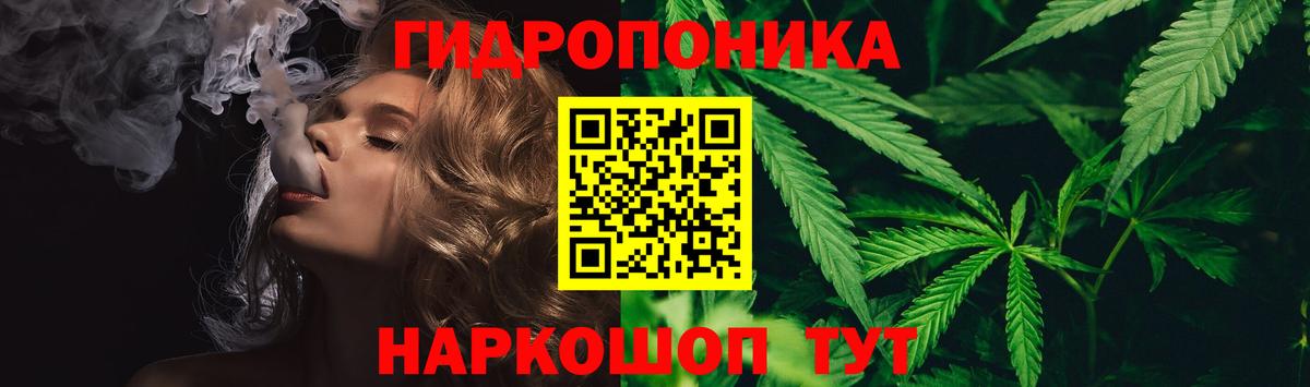 МАРИХУАНА план  Каннабис THC 21%  Каннабис Amnesia  Каннабис Amnesia  Волжск  Вход с VPN 